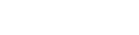 Welfish Studio